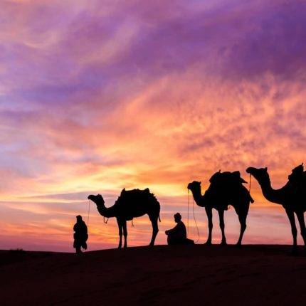 Dubai Tour with Desert Safari and Burj Khalifa