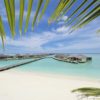 Paradise Paradise