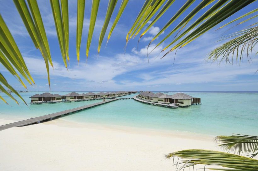 Paradise Paradise