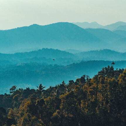 Experience Coorg